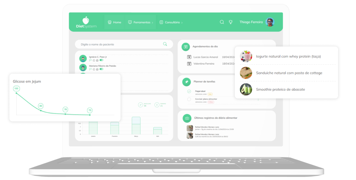 Exemplo de tela do software DietSystem